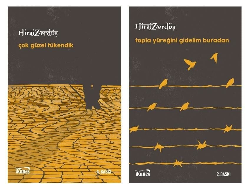 Hirai Zerdüş Çok Güzel Tükendik + Topla Yüreğini Gidelim Buradan (2 Kitap)
