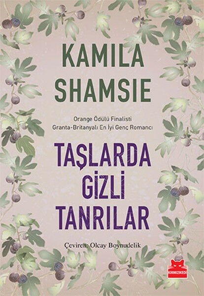 Taşlarda Gizli Tanrılar KAMİLA SHAMSİE