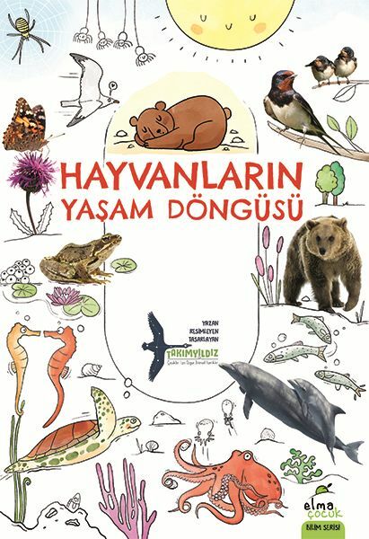 Hayvanların Yaşam Döngüsü TAKIMYILDIZ