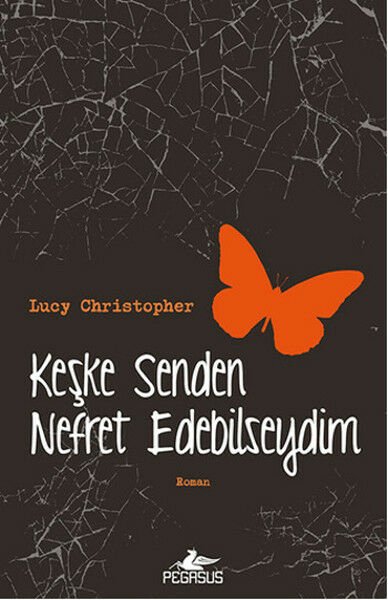 Keşke Senden Nefret Edebilseydim LUCY CHRİSTOPHER