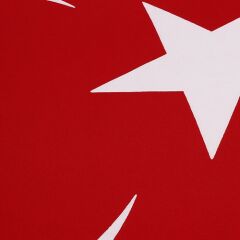 Buket Türk Bayrağı (400X600)