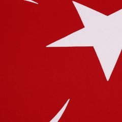 Buket Türk Bayrağı (40X60)