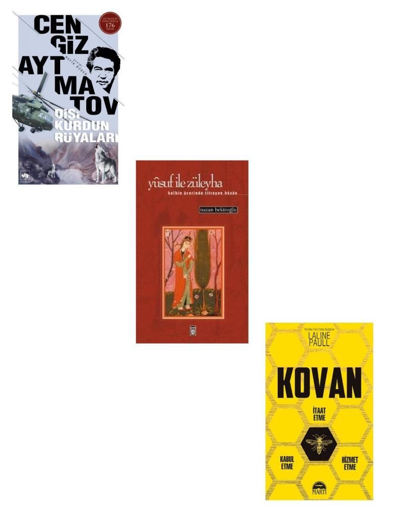 Yusuf ile Züleyha + Dişi Kurdun Rüyaları + Kovan (3 Kitap)