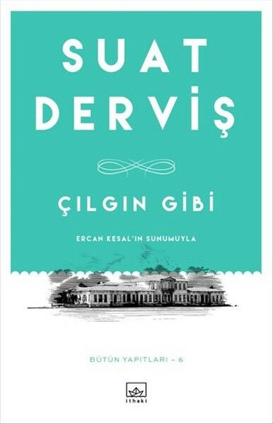 Çılgın Gibi SUAT DERVİŞ