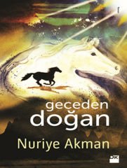 Geceden Doğan NURİYE AKMAN