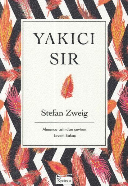 Yakıcı Sır Ciltsiz STEFAN ZWEİG