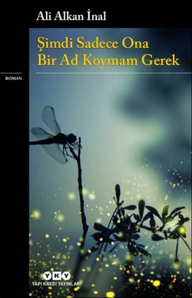 Şimdi Sadece Ona Bir Ad Koymam Gerek ALİ ALKAN İNAL
