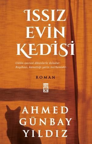 Issız Evin Kedisi AHMED GÜNBAY YILDIZ