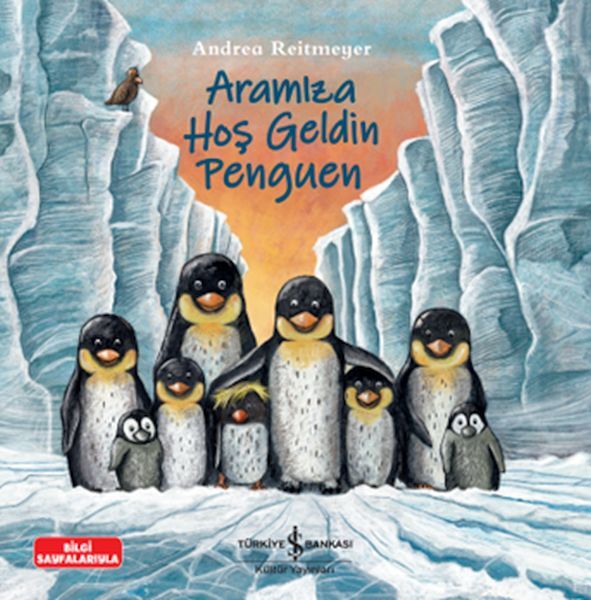 Aramıza Hoş Geldin Penguen   ANDREA REITMEYER