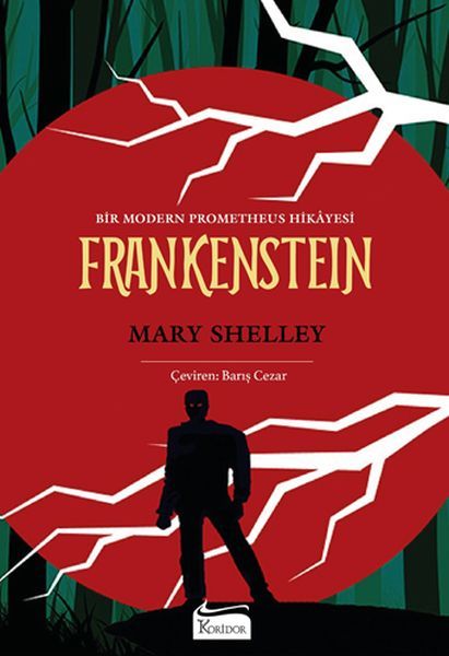 Frankenstein Bez Ciltli MARY SHELLEY