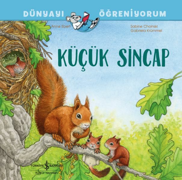 Dünyayı Öğreniyorum Küçük Sincap SABINE CHOINSKI