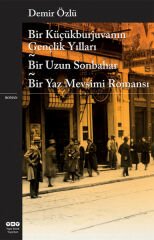 Bir Küçükburjuvanın Gençlik Yılları Bir Uzun Sonbahar Bir Yaz Mevsimi Romanı DEMİR ÖZLÜ