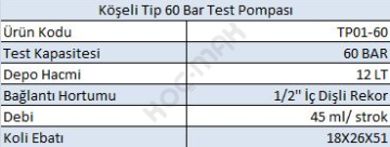 Eryıl Köşeli Tip Test Pompası 60 Bar