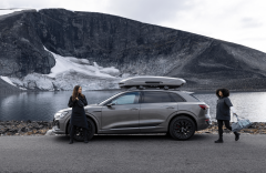 Thule Motion 3 / XL Low Parlak Titan Gri Portbagaj