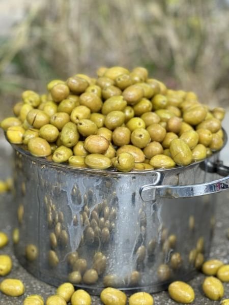 Yeşil kırma topak zeytin 1kg