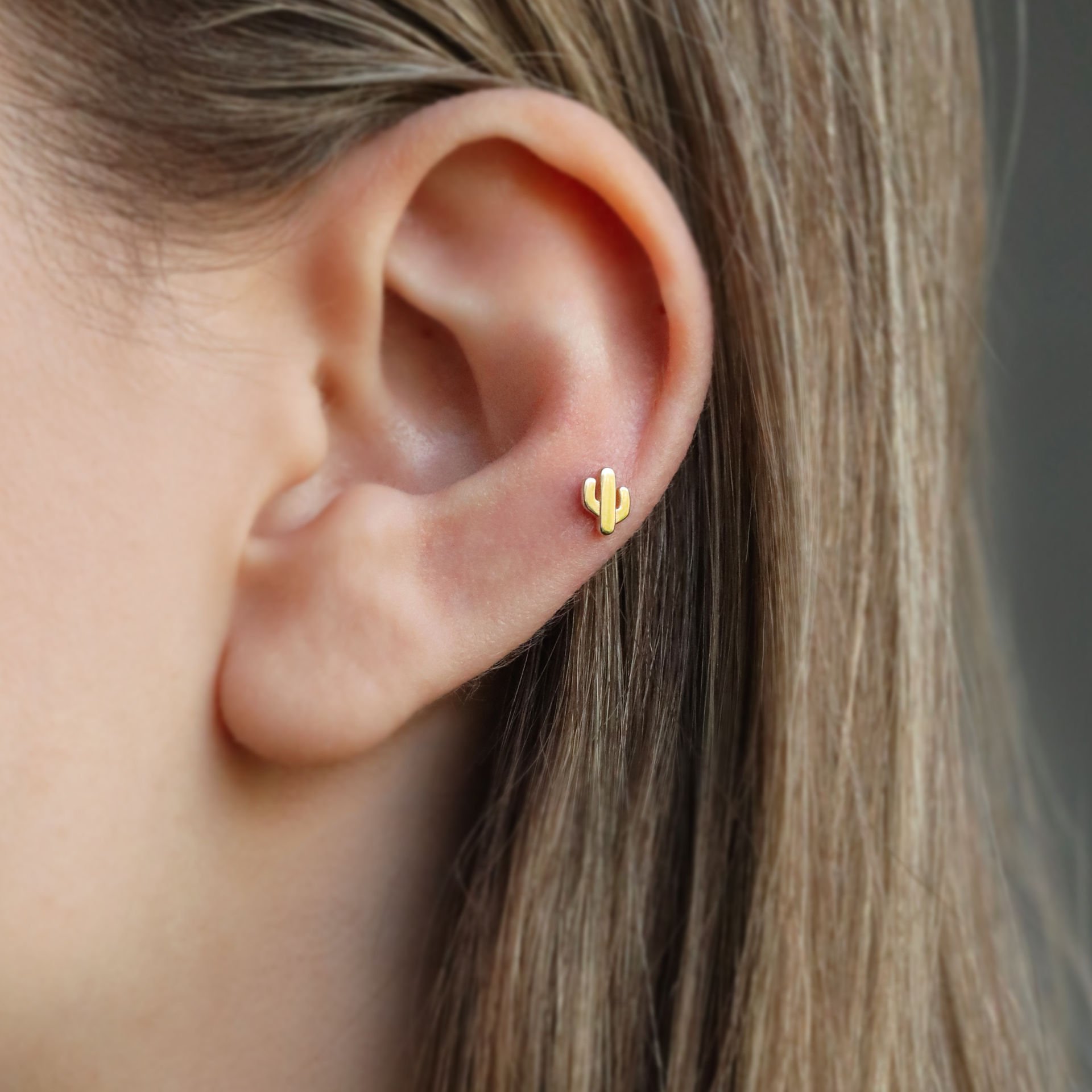 Kaktüs Tragus Küpe