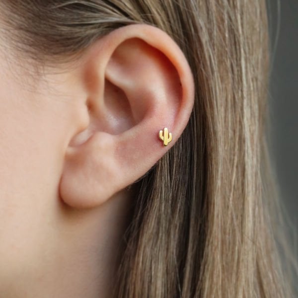 Kaktüs Tragus Küpe