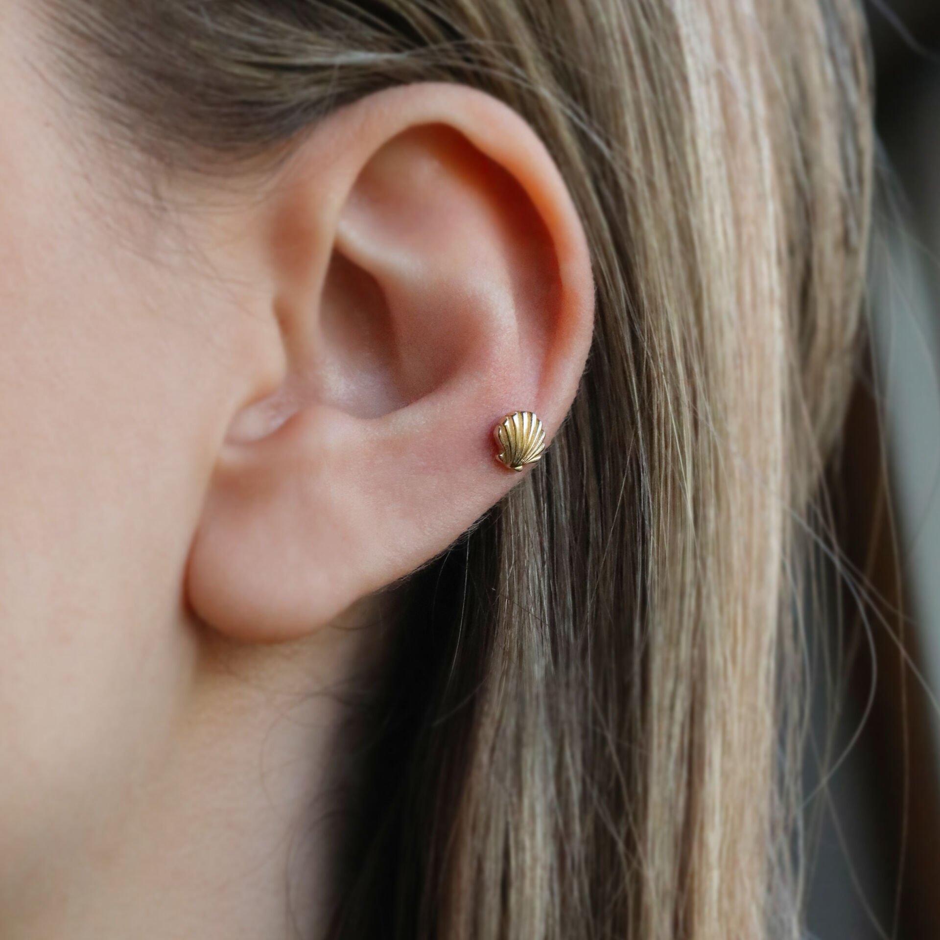 İstiridye Tragus Küpe