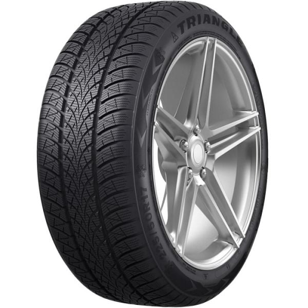 Triangle 205/50R17 93V XL WinterX TW401 (Kış) (2023)