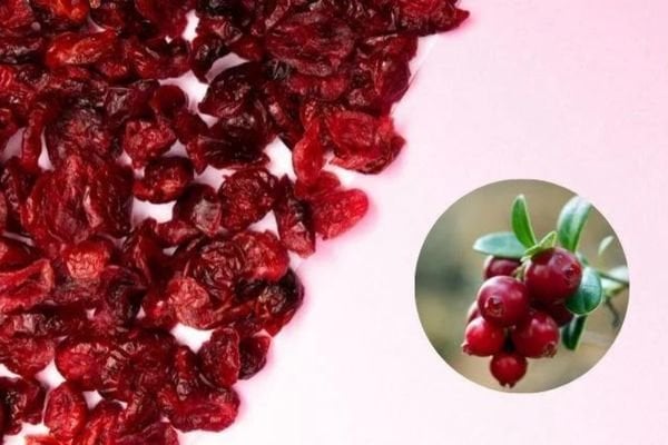 Cranberry (Turna Yemişi) Nedir? Faydaları Nelerdir?