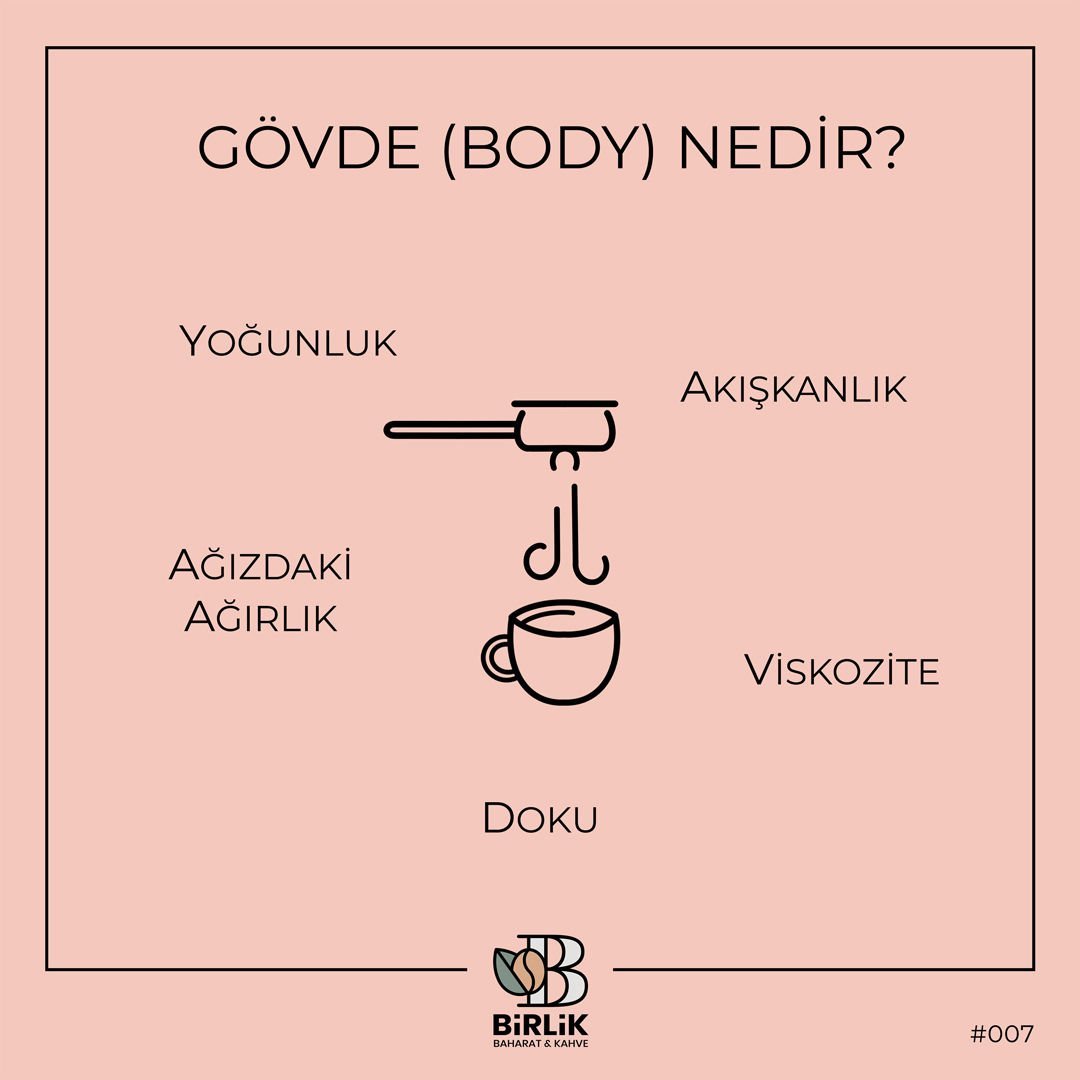 Gövde (Body) Nedir?