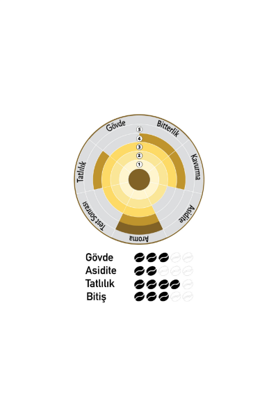 Nish Filtre Kahve Etiyopya 3x80 gr