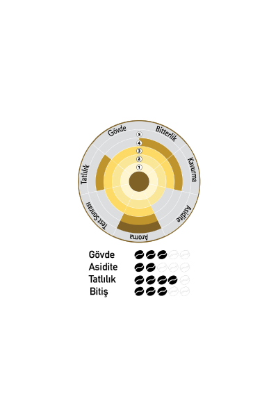 Nish Filtre Kahve Brazil 3x80 gr