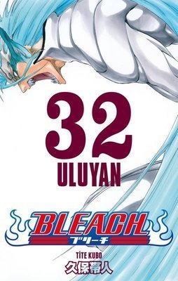 Bleach Cilt 32