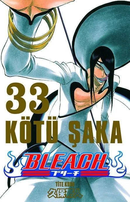 Bleach Cilt 33