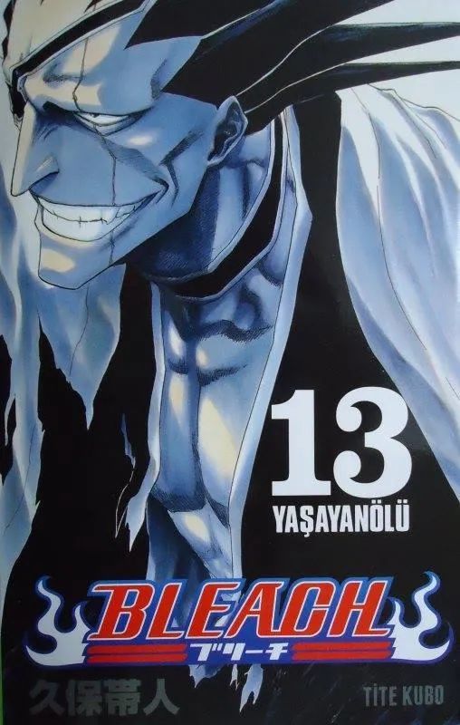 Bleach Cilt 13