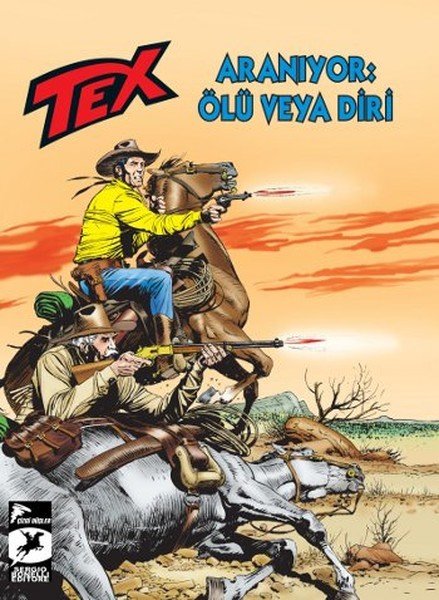 Tex Aylık 29