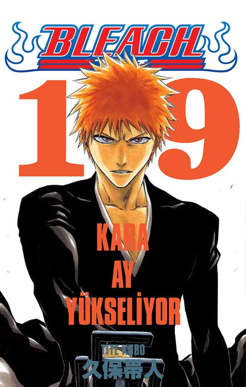 Bleach Cilt 19