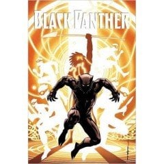 Black Panther: A Nation Under Our Feet Book 2