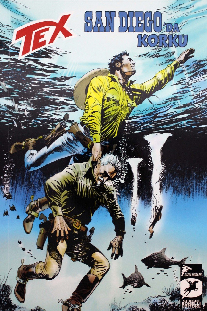 Tex Aylık 43