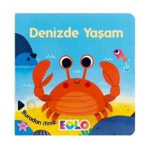 Eolo Denizde Yaşam