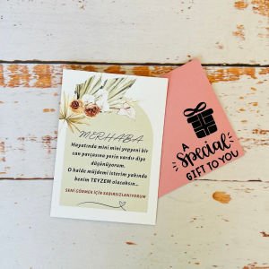 Yepyeni Bir Can Parçası  Bebek Müjde Hediye Kutusu Mini - Teyze İçin