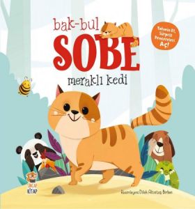 Bak-Bul Sobe Meraklı Kedi