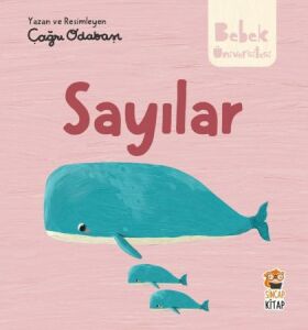 Bebek Üniversitesi - Sayılar
