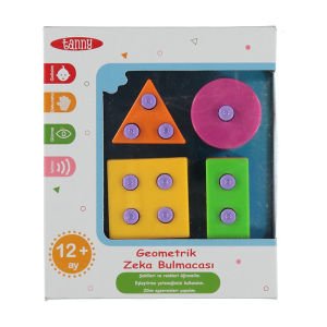 Tanny Geometrik Zeka Bulmacası