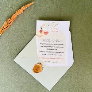 Yepyeni Bir Can Parçası Bebek Müjde Kartı - Teyze Oluyorsun