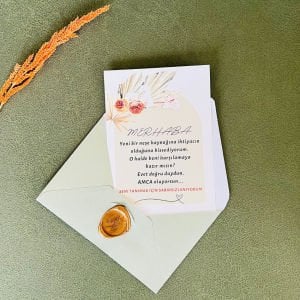 Yeni Bir Neşe Kaynağı Bebek Müjde Kartı – Amca Oluyorsun