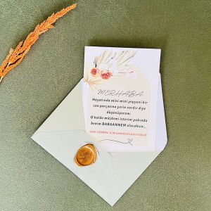 Yepyeni Bir Can Parçası Bebek Müjde Kartı  – Babaanne Oluyorsun