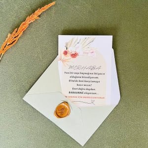 Yeni Bir Neşe Kaynağı Bebek Müjde Kartı – Babaanne Oluyorsun