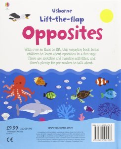 Usborne Lift-the-flap Opposites