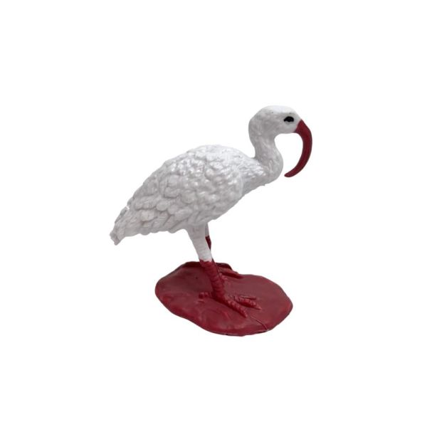 Silindir Kutulu Kuşlar