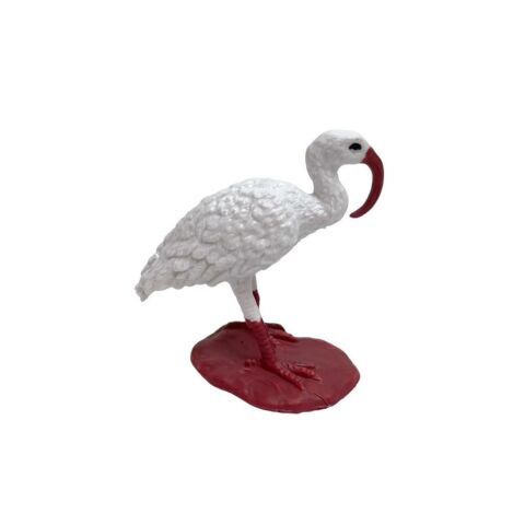 Silindir Kutulu Kuşlar