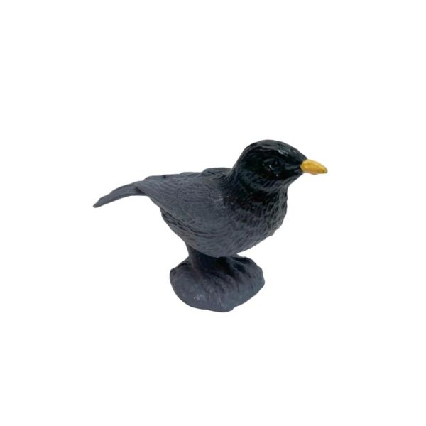 Silindir Kutulu Kuşlar