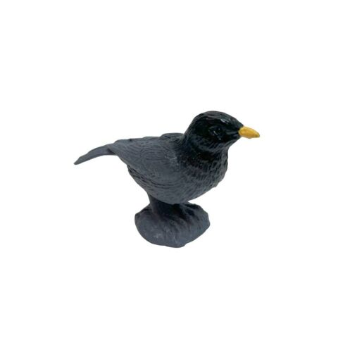 Silindir Kutulu Kuşlar