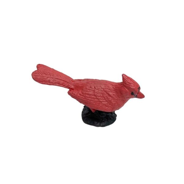 Silindir Kutulu Kuşlar