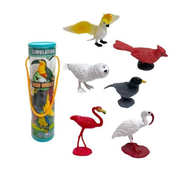 Silindir Kutulu Kuşlar